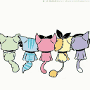 beatcats official fanclub! ‧₊˚