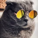 Chill gang?? (beta)
