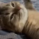 wabagaaa
