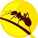 Ants Hub