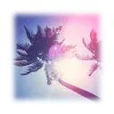 𖧧  season haul  🛒𓏲  hub  ✎  art﹒guides﹒owns﹒apms﹒events