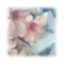 𖧧 season haul 🛒𓏲 hub ✎ art﹒guides﹒owns﹒apms﹒gfx