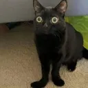 𝓯𝓻𝓮𝓪𝓴𝔂 time  Discord Server Icon