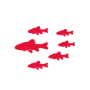 HIVE MiNNOWs