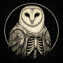Discovery icon for OwlSec Discord server