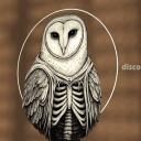 OwlSec icon