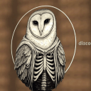 Discovery icon for OwlSec Discord server
