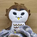강지태