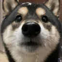 とある部屋