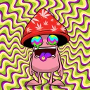 Trippin Shrooms