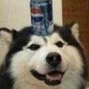 the losers club Discord Server