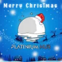 Platinium Hub
