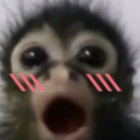 Dwizer icon