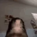RAT DEN