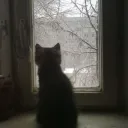 best part Discord Server Icon