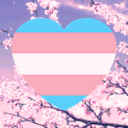 DC Trans Cherry Blossom Brigade
