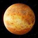 Venusian Paradise Discord Server Icon