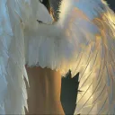 ♡⸝⸝ Bliss ♡⸝⸝'s icon