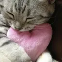 Eden ༊·˚ Discord Server Icon