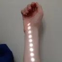 The Snuniverse