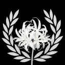 Coalition of shadows