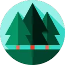 The Woods