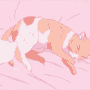 ❆Friend's Chat ●Anime Cats