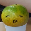 잡디코