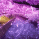 Cherry Night Discord Server