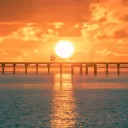 {----[Chill]----}'s icon