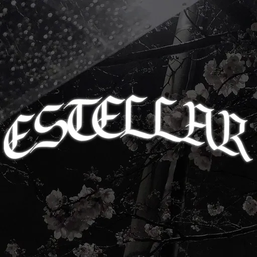 ESTELLAR — мониторинг Discord сервера, статистика и рейтинг