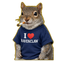 Cult of Chaos avatar