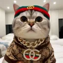 Rich nation