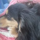 ゅきりりの部屋