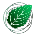 Mintado Finance