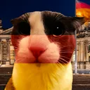 german unity day soggy world !!