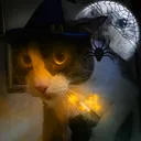 SPOOKY world !!