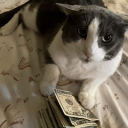 Discovery icon for ALMOST jolly world      x64dbg Discord server