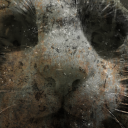 Discovery icon for MEGA stale world Discord server