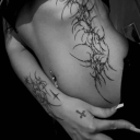 ׄ   ﹒   ɪ ɴ ꜱ ᴏ ᴍ ɴ ɪ ᴀ   ׅ