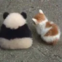 the server name is garbage :P's icon