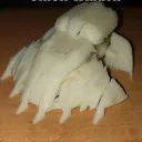 corn hub