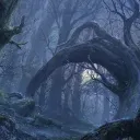 The Hidden Forest