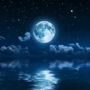 🌙✨Moon Bright✨🌙