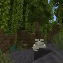 mangrove smp