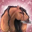 The Star Stable Times