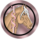 The Star Stable Times