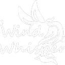 Winnis Profi-Gamer