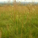 TallGrass HQ