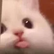 蘇達小窩